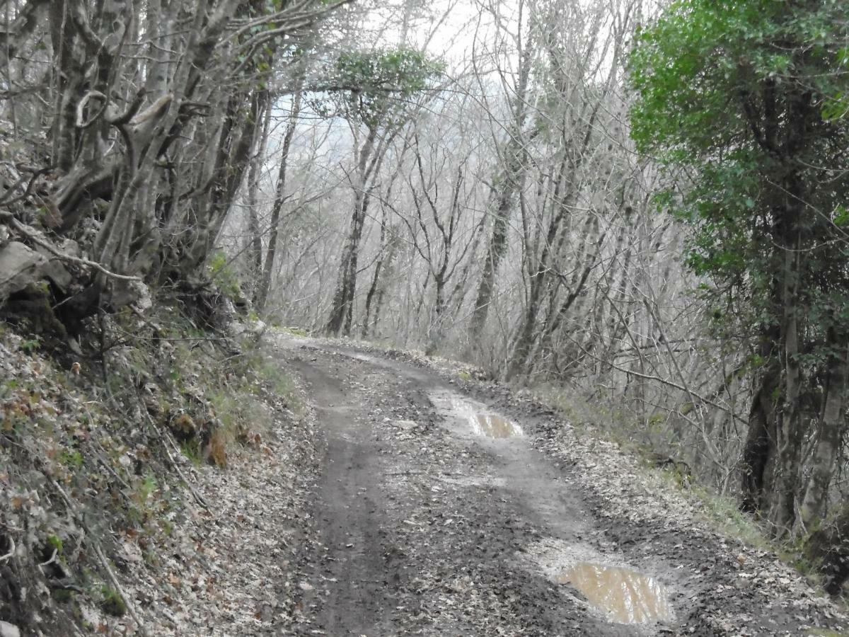La Masseria Di Antonio E Teresina Colli a Volturno Kültér fotó
