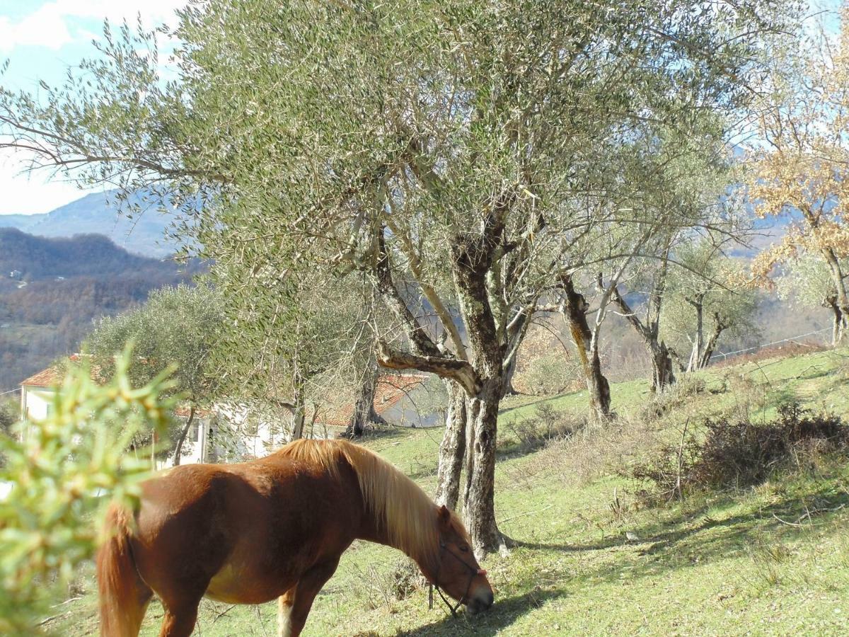 La Masseria Di Antonio E Teresina Colli a Volturno Kültér fotó