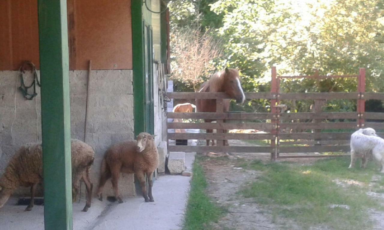 La Masseria Di Antonio E Teresina Colli a Volturno Kültér fotó
