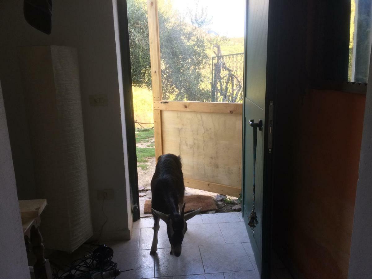 La Masseria Di Antonio E Teresina Colli a Volturno Kültér fotó